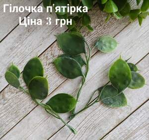 Гілочки п*ятірки Гілочки п*ятірки